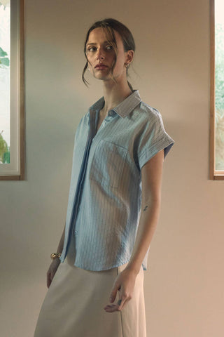 The Pinstripe Collared Top