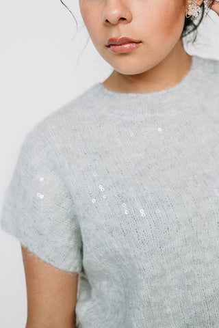 A Subtle Sparkle Crew Neck Sweater