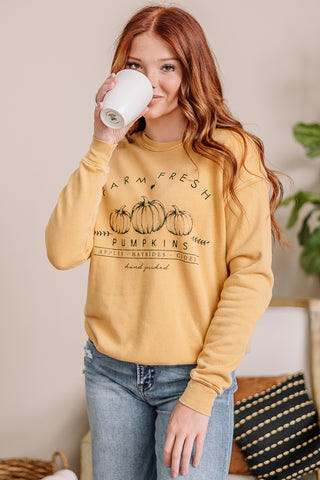 Farm Fresh Pumpkins Graphic Sweatshirt