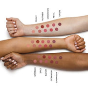 Long Lasting Lipstick | BAREPRO